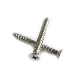 Nesling Schroeven 20 Stuks RVS