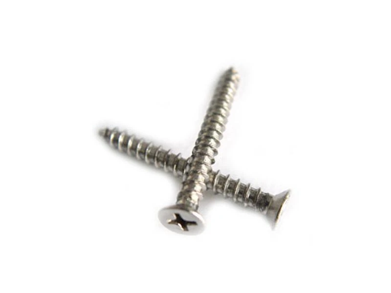 Nesling Schroeven 20 Stuks RVS 1 Nesling Schroeven 20 Stuks RVS